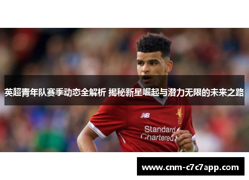 英超青年队赛季动态全解析 揭秘新星崛起与潜力无限的未来之路