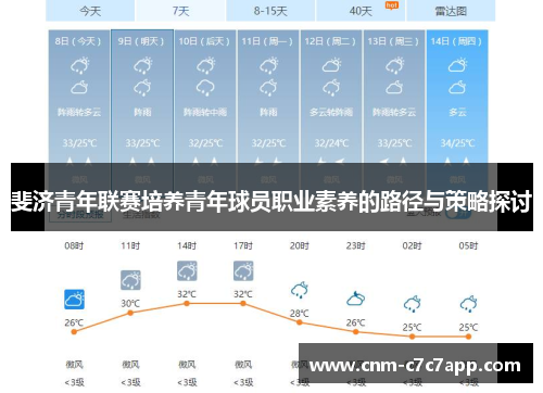 斐济青年联赛培养青年球员职业素养的路径与策略探讨