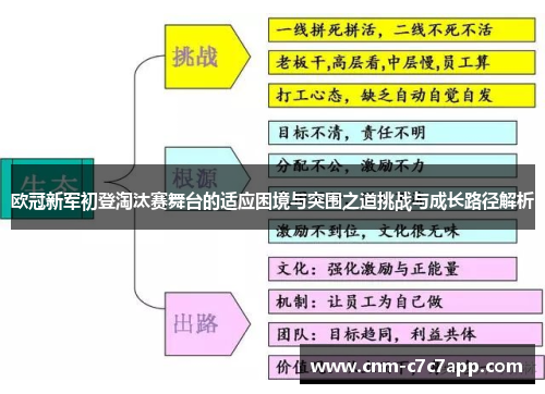 欧冠新军初登淘汰赛舞台的适应困境与突围之道挑战与成长路径解析