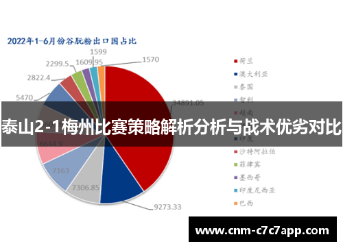 泰山2-1梅州比赛策略解析分析与战术优劣对比